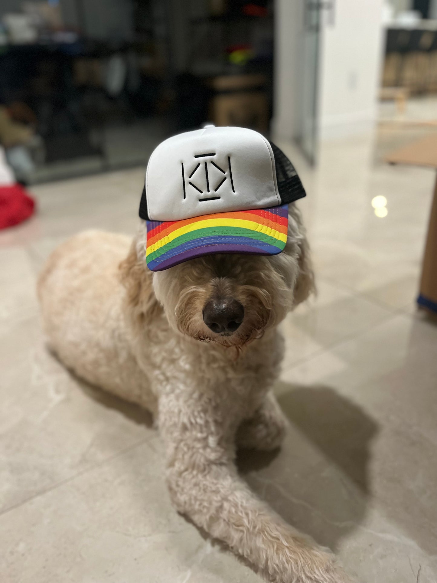 Rainbow Performance Trucker Hat